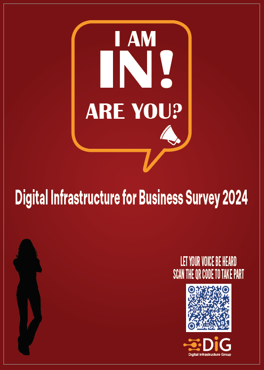 Business Survey 2024 Digital Infrastructure Group